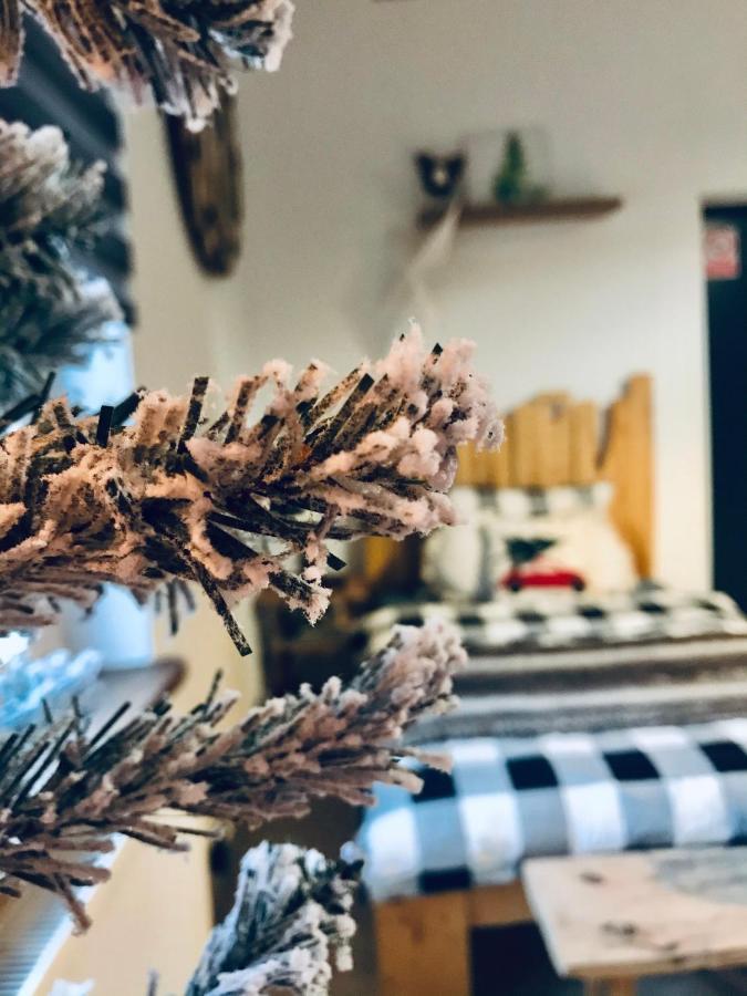 Siedlisko Farmhouse Okszow Exteriör bild